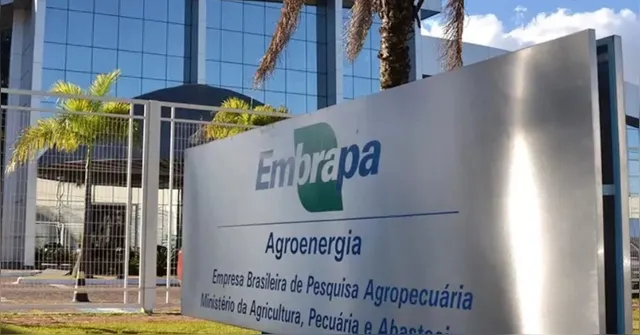 Imagem ilustrativa da notícia Concurso Embrapa: mais de 279 mil inscritos disputam 1.027 vagas