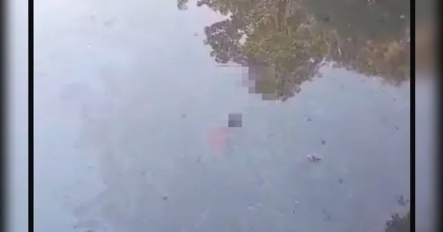 Imagem ilustrativa da notícia Corpo de um homem é encontrado no canal da Ponte do Barreiro, em Belém