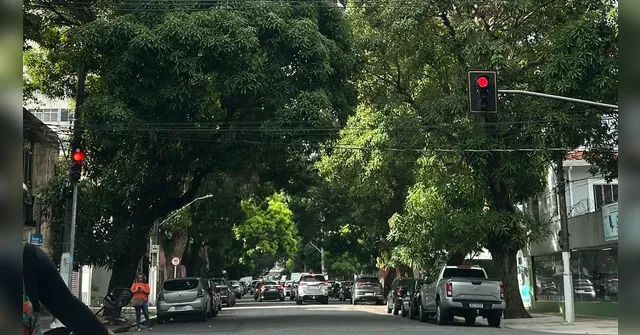 Imagem ilustrativa da notícia Em 2025, arborização ainda é desafio em Belém