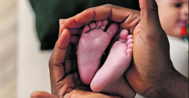 Imagem ilustrativa da notícia Mães de prematuros precisam de acompanhamento psicológico