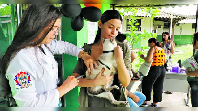 Imagem ilustrativa da notícia Ufra promove ação de vacinação gratuita de pets; confira!