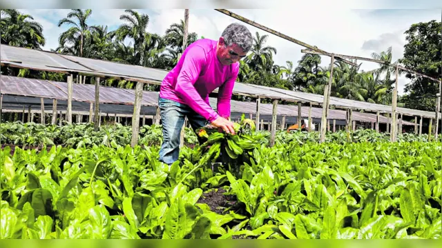 Imagem ilustrativa da notícia Jader sugere criação de Observatório Nacional da Agricultura Familiar