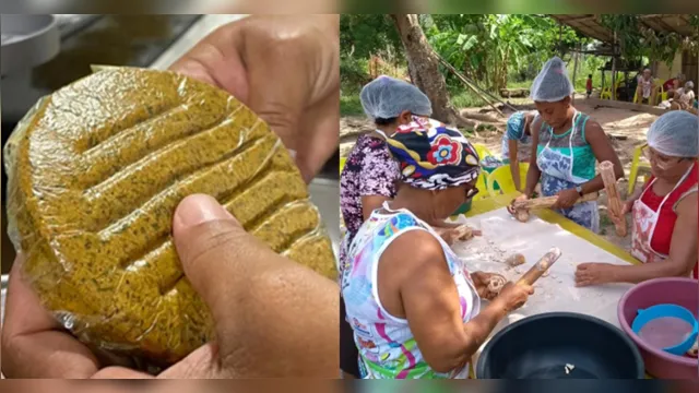 Imagem ilustrativa da notícia Hambúrguer de babaçu é desenvolvido por quebradeiras de coco