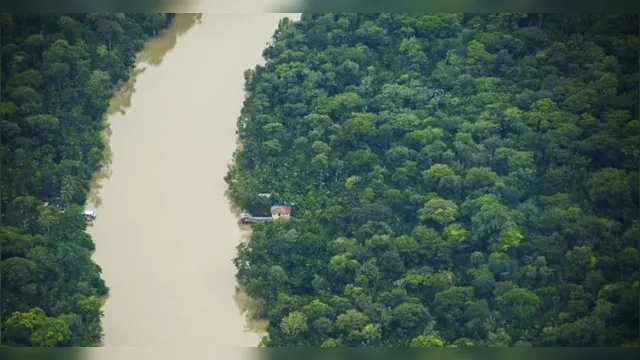 Imagem ilustrativa da notícia Pará reduz alertas de desmatamento em 15% na Amazônia