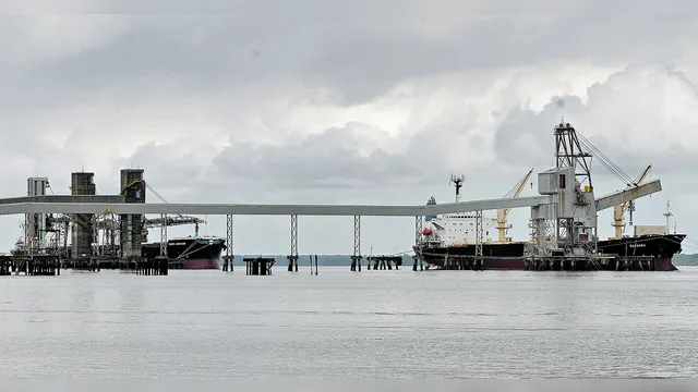 Imagem ilustrativa da notícia Pará está entre os maiores exportadores