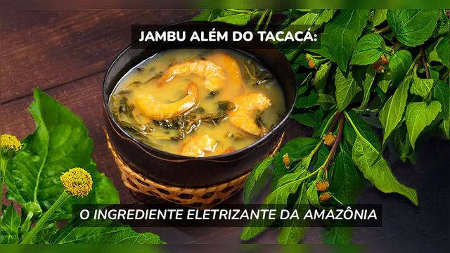 Imagem ilustrativa da notícia Jambu além do tacacá: o ingrediente eletrizante da Amazônia