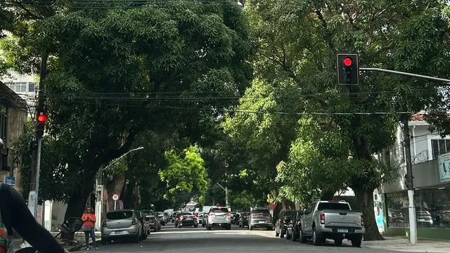 Imagem ilustrativa da notícia Em 2025, arborização ainda é desafio em Belém