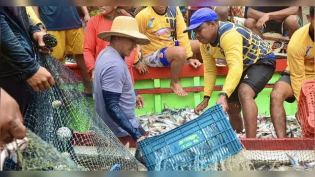 Imagem ilustrativa da notícia Pescadores celebram abertura da pesca do mapará após defeso