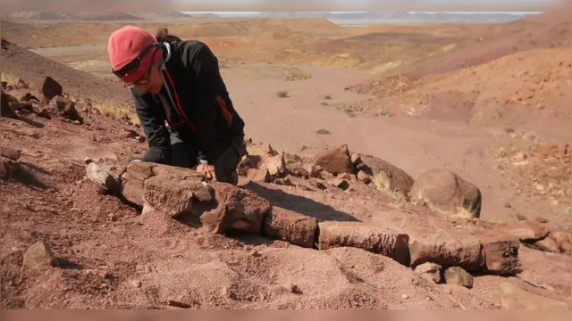 Imagem ilustrativa da notícia Predador gigantesco! Fóssil de 280 milhões de anos é achado na Namíbia 