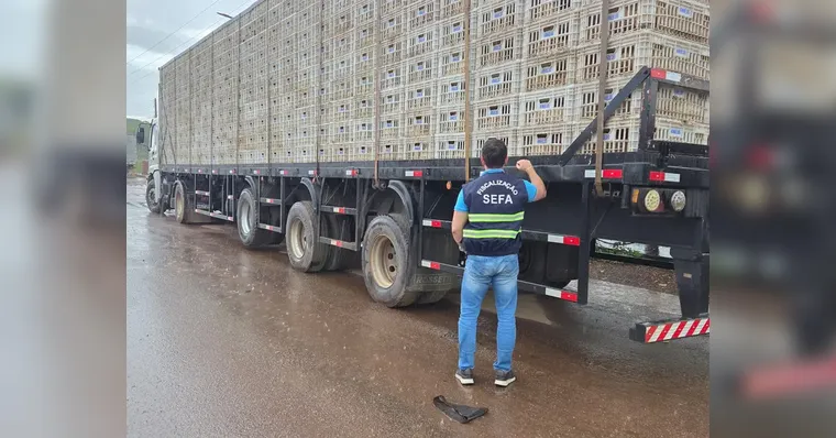 Imagem ilustrativa da notícia Irregularidade: Sefa apreende de 13 toneladas de frango vivo 