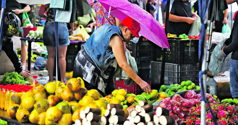 Imagem ilustrativa da notícia Feira itinerante traz alimento fresquinho e preço acessível 