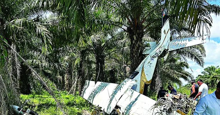 Imagem ilustrativa da notícia Avião que caiu no interior do Pará tinha 30 kg de cocaína