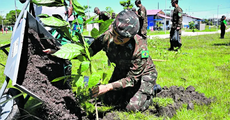 Imagem ilustrativa da notícia Exército planta 150 mudas nativas no elevado da Júlio César