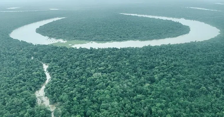 Imagem ilustrativa da notícia Amazônia vai receber R$ 2 milhões para negócios sustentáveis