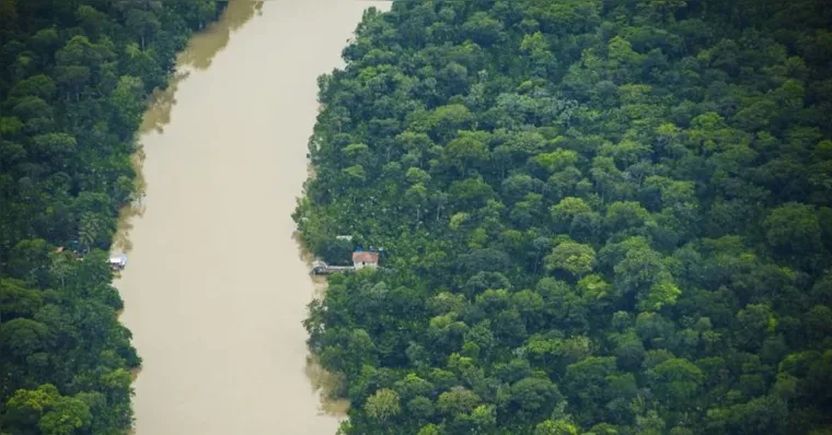 Imagem ilustrativa da notícia Pará reduz alertas de desmatamento em 15% na Amazônia