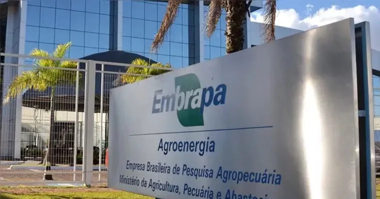 Imagem ilustrativa da notícia Concurso Embrapa: mais de 279 mil inscritos disputam 1.027 vagas