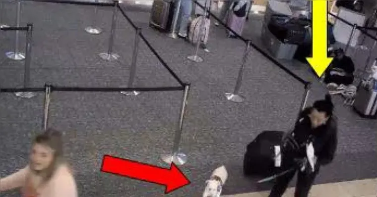 Imagem ilustrativa da notícia Mulher afoga cachorro em aeroporto para conseguir embarcar