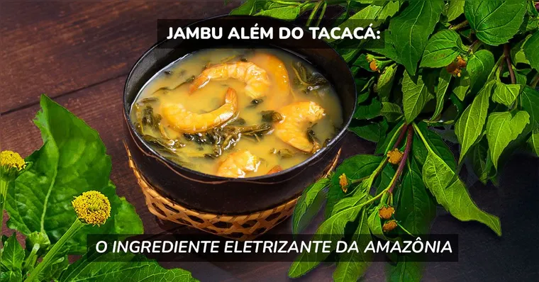 Imagem ilustrativa da notícia Jambu além do tacacá: o ingrediente eletrizante da Amazônia