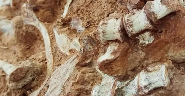 Imagem ilustrativa da notícia Dinossauros podem ter surgido no Brasil, aponta novo estudo