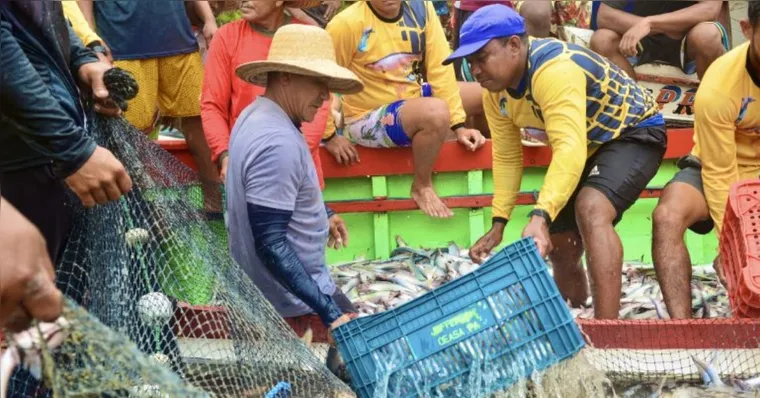 Imagem ilustrativa da notícia Pescadores celebram abertura da pesca do mapará após defeso