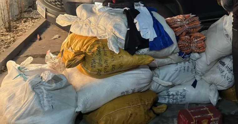 Imagem ilustrativa da notícia Abordagem a caminhão apreende roupas e ciclomotores no Pará