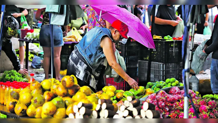 Imagem ilustrativa da notícia Feira itinerante traz alimento fresquinho e preço acessível 