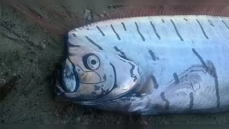 Imagem ilustrativa da notícia Vídeo: Peixe do juízo final é flagrado se debatendo em praia