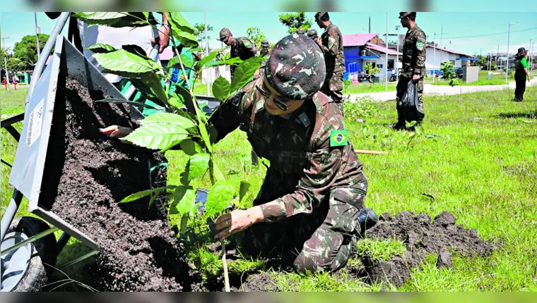 Imagem ilustrativa da notícia Exército planta 150 mudas nativas no elevado da Júlio César