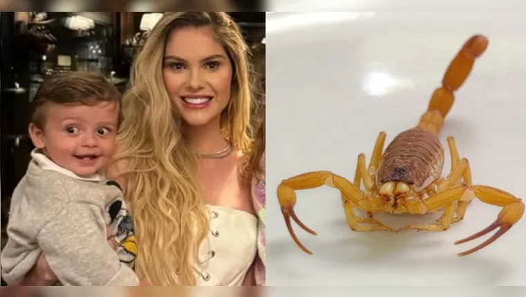 Imagem ilustrativa da notícia Incidente com filho de Bárbara Evans alerta sobre picada de escorpião