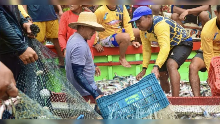 Imagem ilustrativa da notícia Pescadores celebram abertura da pesca do mapará após defeso