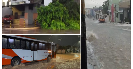 As precipitações intensas, acompanhadas de ventos fortes, causaram a queda se uma árvore de grande porte