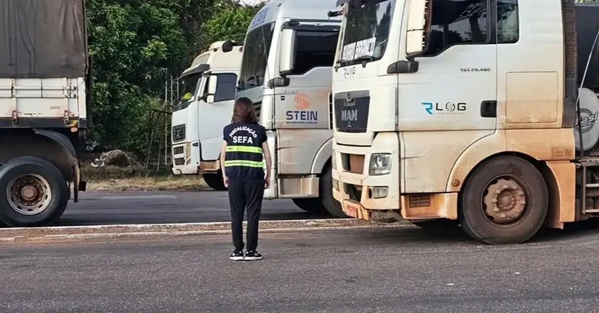 Foram lavrados quatro Termos de Apreensão e Depósito