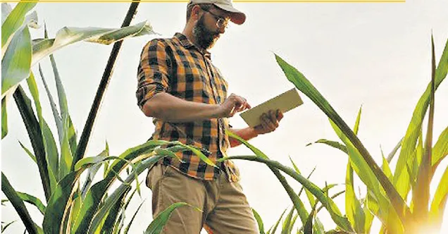 Mais do que um olhar de execução, o que se espera desses profissionais que buscam uma colocação no agro é também um olhar estratégico para o negócio.