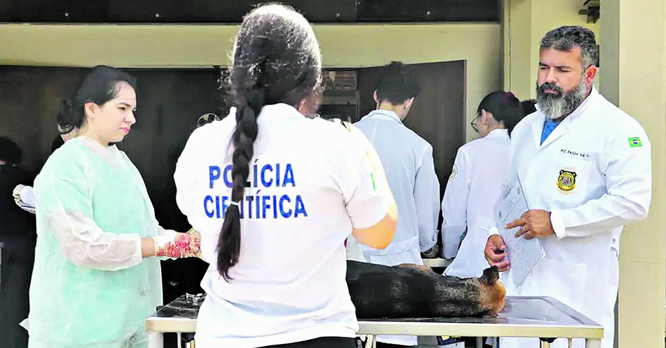 Investigação é feita por peritos da Polícia Científica do Estado