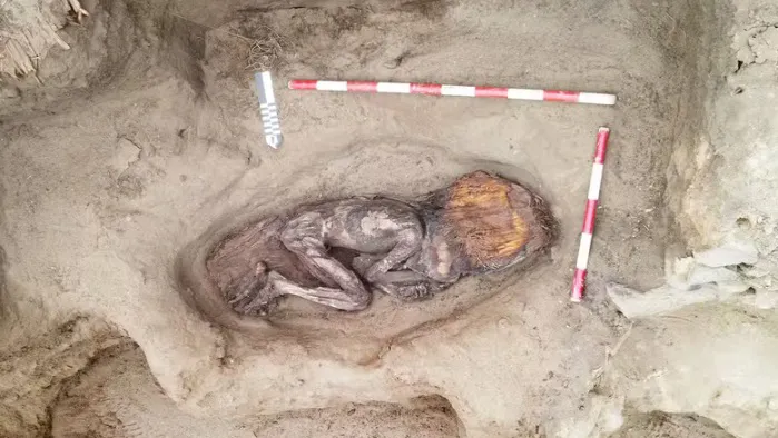 Corpo de mulher enterrada há quase 30 anos é encontrado em bom estado