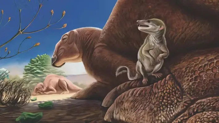 Rato da época dos dinossauros