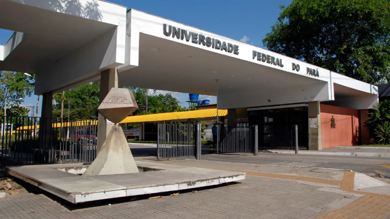 As oportunidades estão distribuídas entre diferentes áreas de atuação acadêmica.