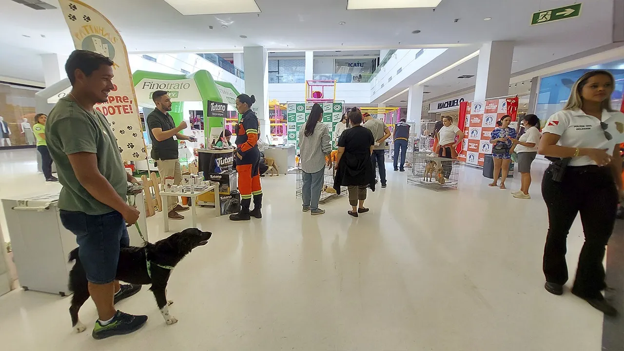 Ao todo, cerca de 35 animais, entre cães e gatos, estavam disponíveis para adoção, com castração garantida.