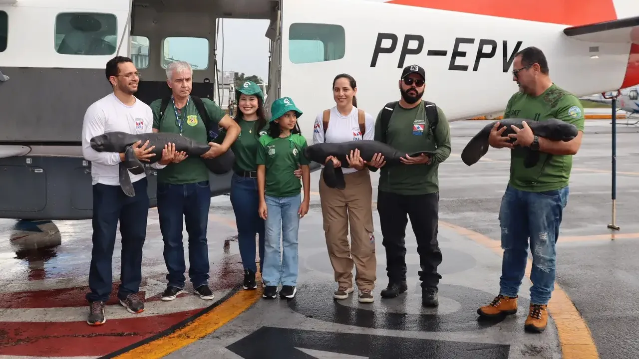 A operação contou com o apoio de diversos órgãos, entre eles o ICMBio, Instituto Igarapé-Nhamundá, Instituto Bicho D’água, Grupamento Aéreo de Segurança Pública (GRAESP), CETRAS/UFRA e Ibama.