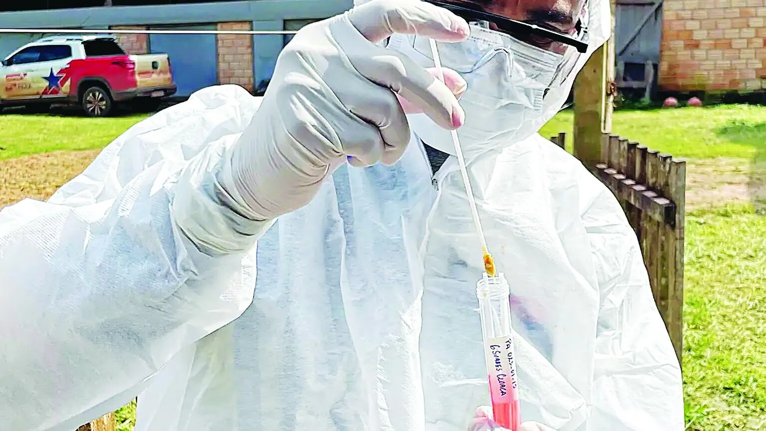 Medida tem caráter preventivo e é voltada à contenção do vírus H5N1 em aves da avicultura comercial e de subsistência