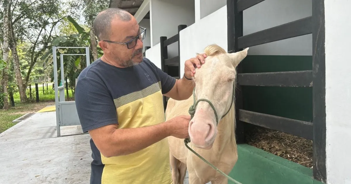 Ufra promove evento voltado para discussões sobre  a situação dos animais no município.