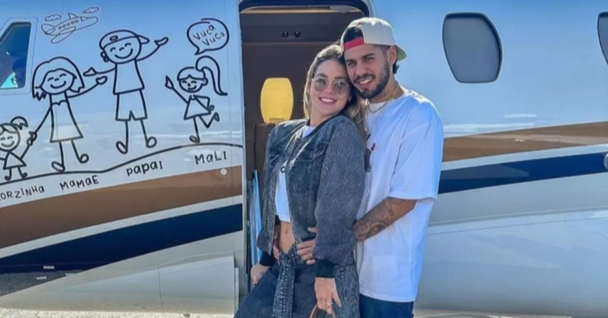 Virgínia manda retirar desenho da família de jatinho.