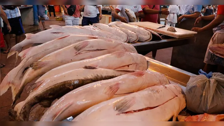 Pesquisa do Dieese revela aumento e queda nos preços do pescado em Belém entre março e abril.
