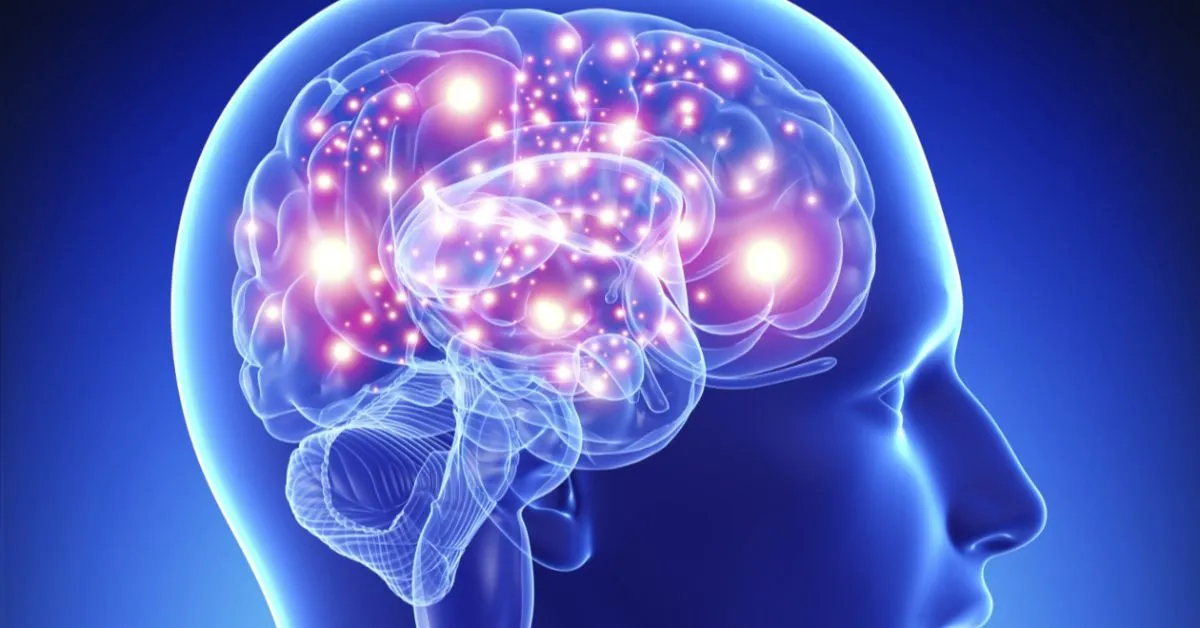 Segundo Singh, o hábito protege contra o risco de doenças como Alzheimer e outras demências, preservando o volume cerebral, principalmente em áreas como o hipocampo (estrutura essencial para a memória).