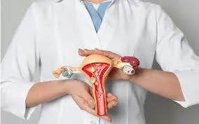 Saiba mais sobre o câncer de ovário, seus sintomas, fatores de risco e a importância da prevenção e diagnóstico precoce.