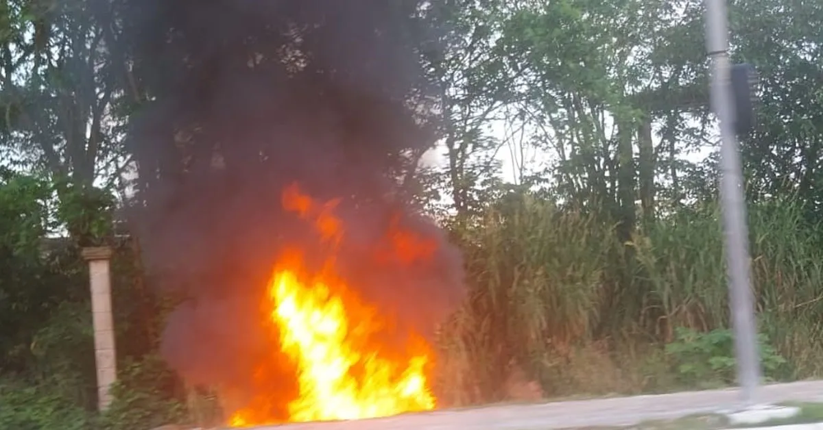 Fogo foi registrado em um trecho próximo de uma área de mata na avenida João Paulo II, em Belém.