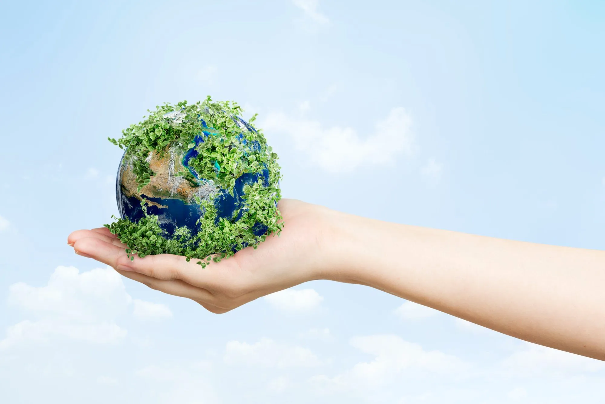 Imagem ilustrativa da notícia: Earth Day, Dia da Terra: como agir para um futuro mais sustentável  