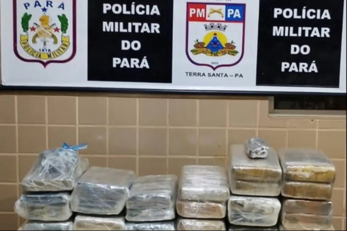 Entorpecentes eram transportados por dois passageiros em Terra Santa