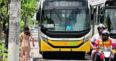 Os novos veículos são conhecidos como “Geladão”. Noventa deles já estão circulando pela capital paraense