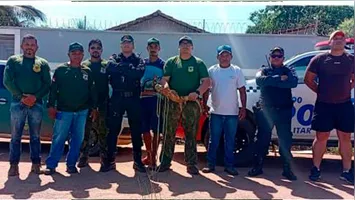 A equipe policial chegou ao local e conseguiu impedir que o jacaré fosse ferido ou morto